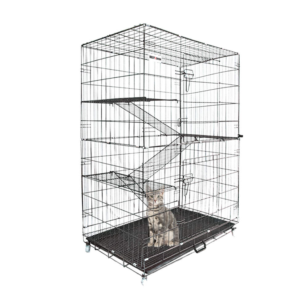 Produk - 555 - Best In Show - Best Pet Food For Your Pet